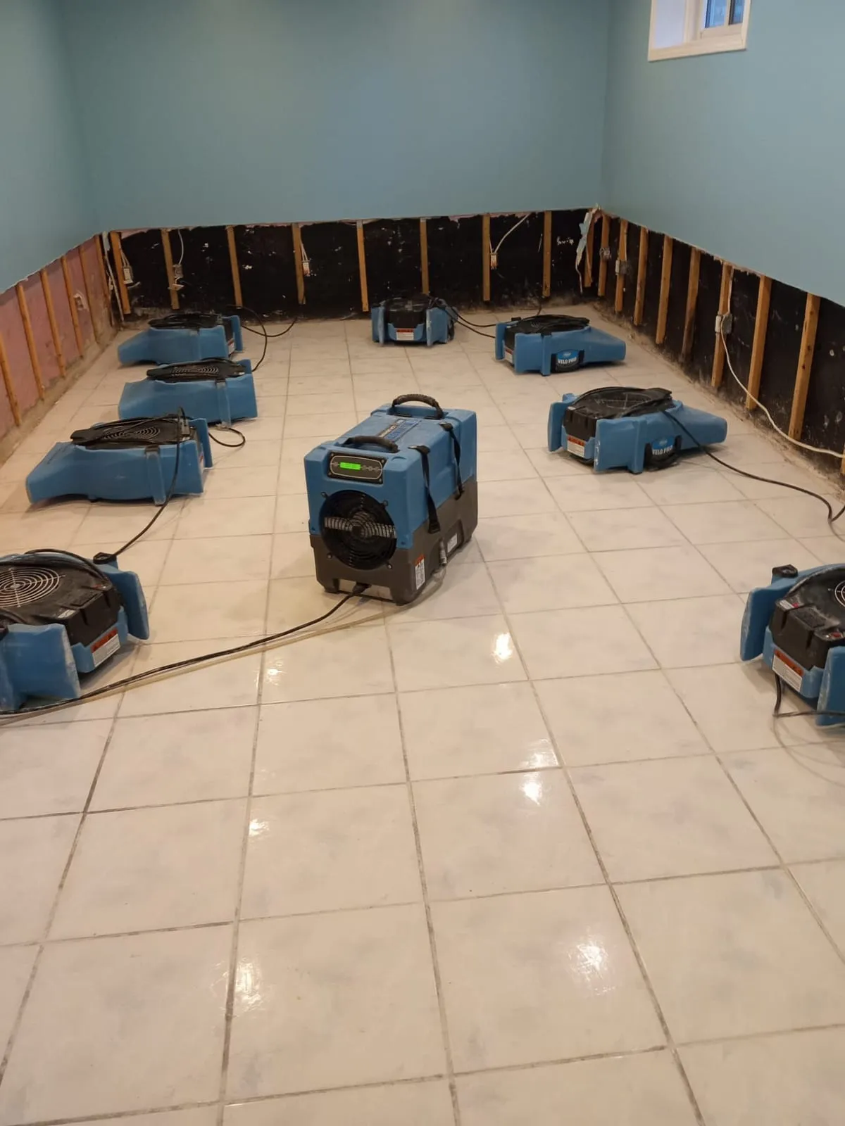 Air movers and a dehumidifier drying a basement after flood cuts