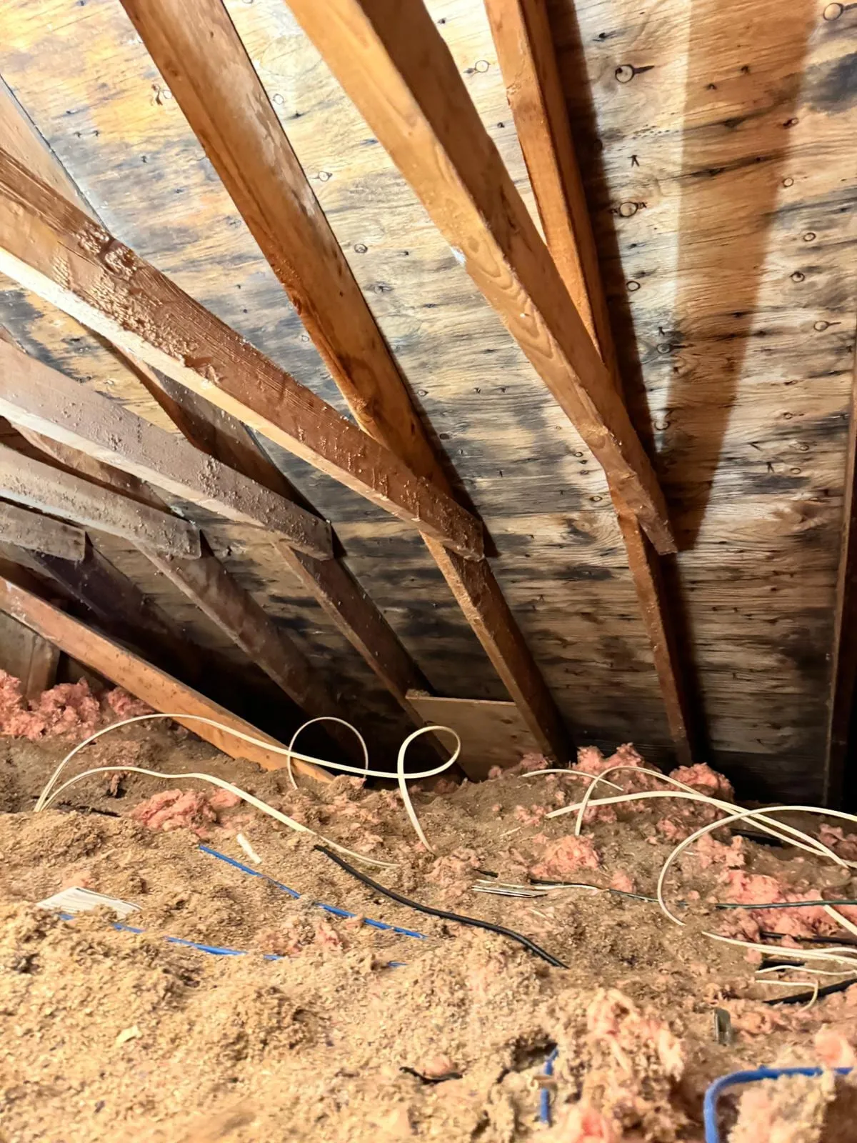 Mold staining on attic roof sheathing before mold removal